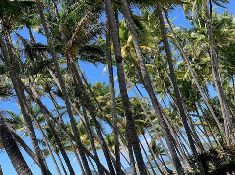 IMPORTANT MESSAGE This Property Is Not Currently Available For Holiday Letting - Accommodation Ballina 1