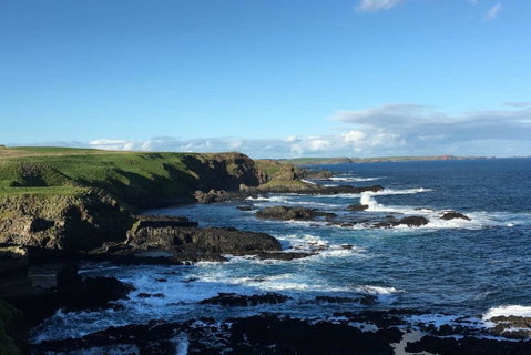 Adrift At Ventnor On Phillip Island, Pets - Accommodation Ballina 1