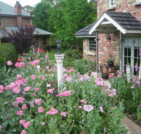 Annie's cottage - Accommodation Ballina