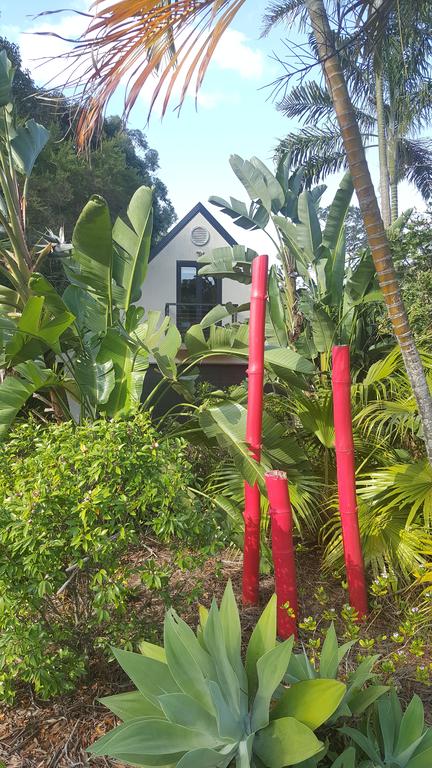 Arbor-Grove The Loft - Accommodation Ballina 0