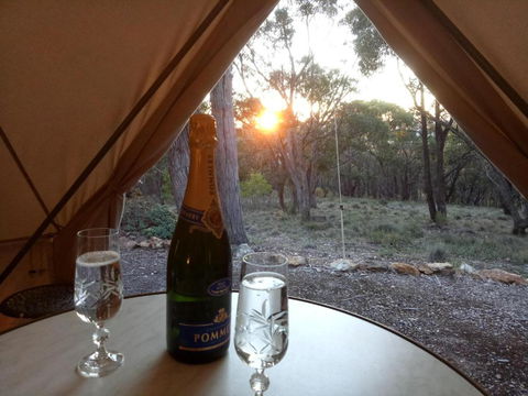 Macedon Ranges Glamping - Accommodation Ballina 2