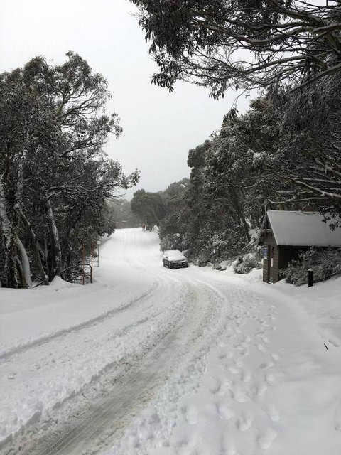 MAGNIFICENT SKIING ON MOUNT BULLER - Accommodation Ballina 3