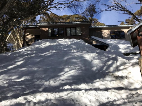 MAGNIFICENT SKIING ON MOUNT BULLER - Accommodation Ballina 1