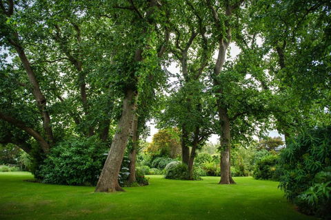 Mallavale Farm, Boat Harbour - Accommodation Ballina 2