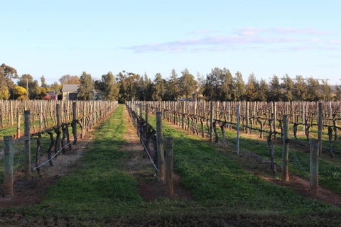 Milawa Vineyard Views - Guesthouse 1 - Accommodation Ballina 2