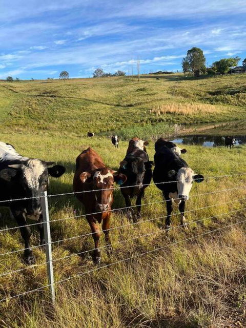 Modern Farmhouse - Accommodation Ballina 3