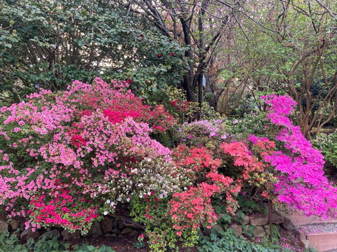 Mountain Villa In Dandenong Ranges - Accommodation Ballina 1