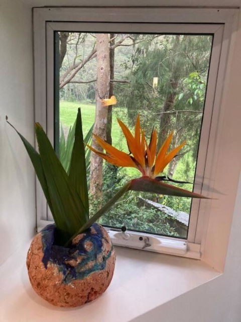 Nature Retreat & Artists Studio 90mins From Sydney - Accommodation Ballina 1
