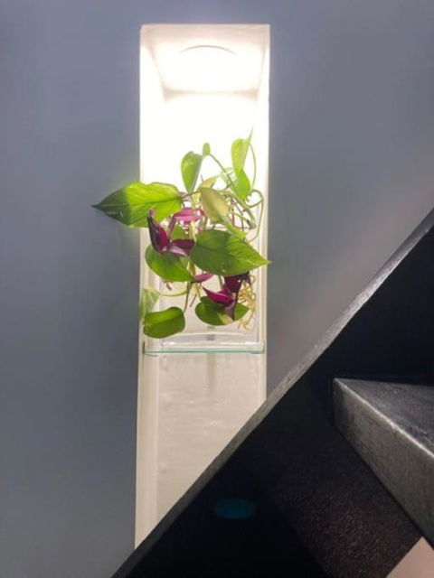 Nature Retreat & Artists Studio 90mins From Sydney - Accommodation Ballina 2