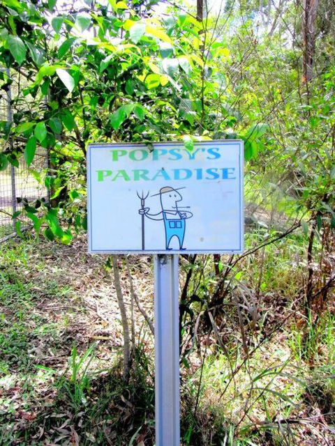 Nature Retreat & Artists Studio 90mins From Sydney - Accommodation Ballina 3