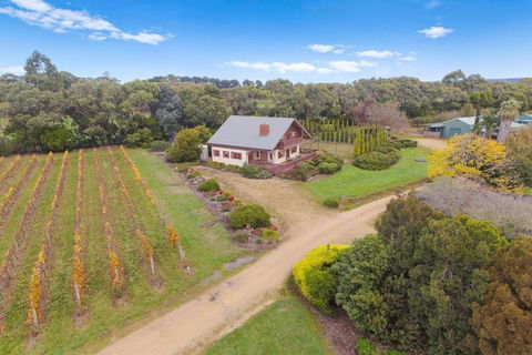 Northway Downs Estate Vineyard - Accommodation Ballina 3