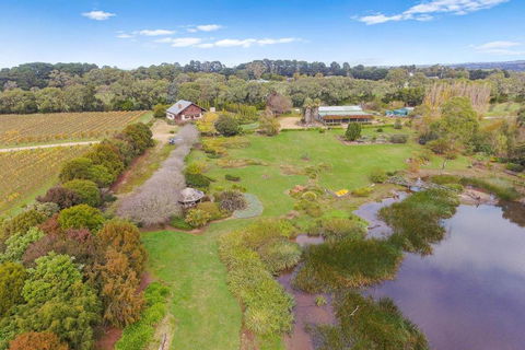 Northway Downs Estate Vineyard - Accommodation Ballina 2