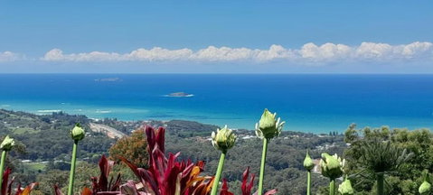 ON TOP Of THE WORLD Garden Studio - Accommodation Ballina 0