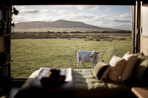 Peter The Tiny Cabin In Esperance - Accommodation Ballina 0