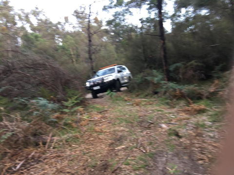 PNL4WDriving Bairnsdale Hub - Accommodation Ballina 0