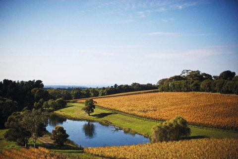 Port Phillip Estate - Accommodation Ballina 2