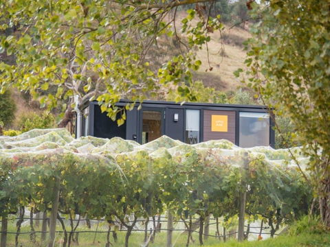 Rae At Lake George Winery By Tiny Away - Accommodation Ballina 3