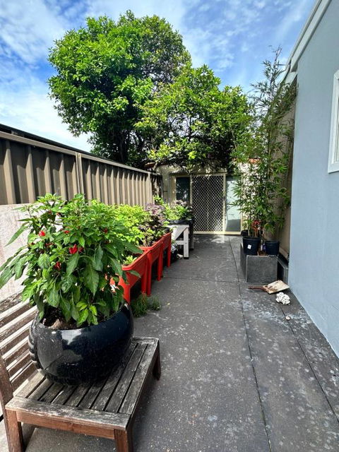 Private, Local Living Studio In Mascot, Airport - Accommodation Ballina 2