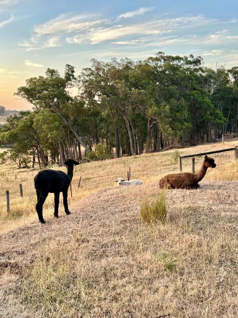 Private, Secluded Farm Retreat - Accommodation Ballina 2