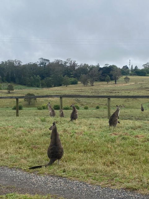 Private Country Escape With Valley Views - Accommodation Ballina 1