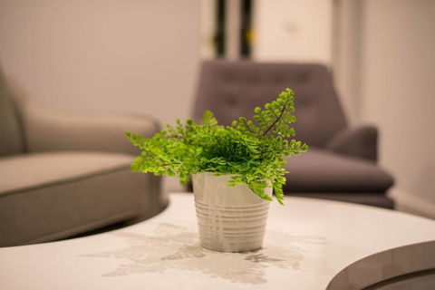 Astrina Deluxe 2 Bedroom - Accommodation Ballina 3