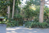 Book Macclesfield Accommodation Vacations Accommodation Ballina Accommodation Ballina