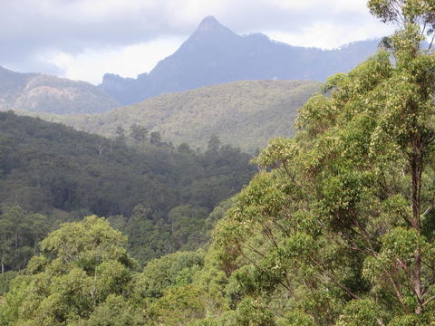 Babbling Brook Retreat - Accommodation Ballina 2