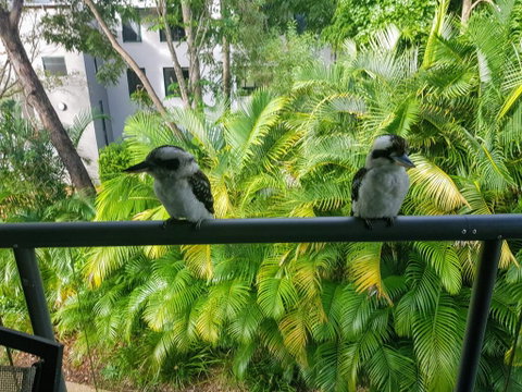Baden 45 - Rainbow Shores, Beachside Unit, Aircon, Swimming Pool, Tennis Court - Accommodation Ballina 3