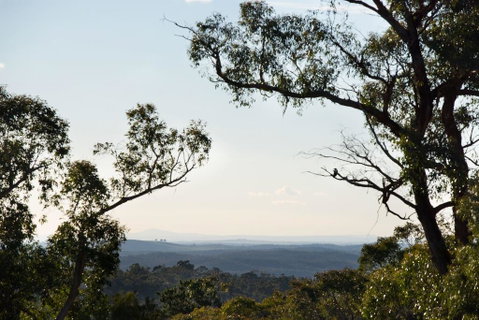 Barwidgee - Accommodation Ballina 2