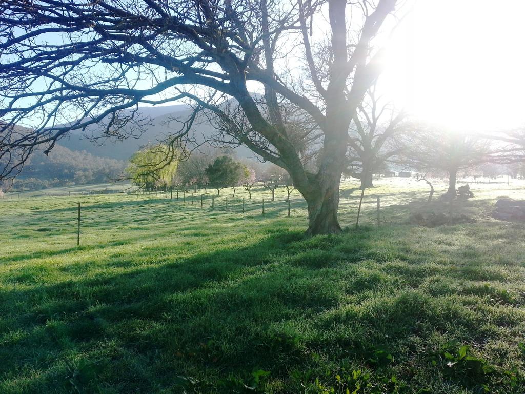 Huon Creek VIC Accommodation Ballina