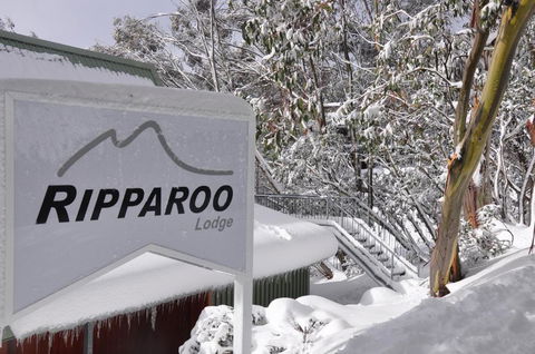 Ripparoo Lodge - Accommodation Ballina 0