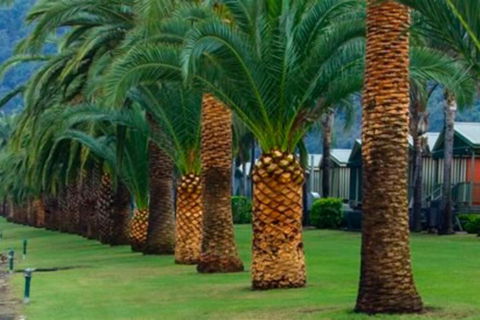 Riva On The Hawkesbury - Accommodation Ballina 3