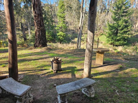The Edge Of Nowhere Chestnut By Tiny Away - Accommodation Ballina 2
