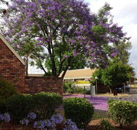 Belvoir Village Motel  Apartments Wodonga - Accommodation Ballina