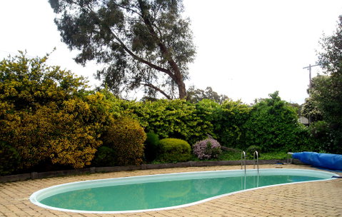 Bendigo Motor Inn - Accommodation Ballina 3