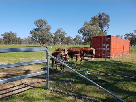 Big Tiny Jindera Park - Accommodation Ballina 2