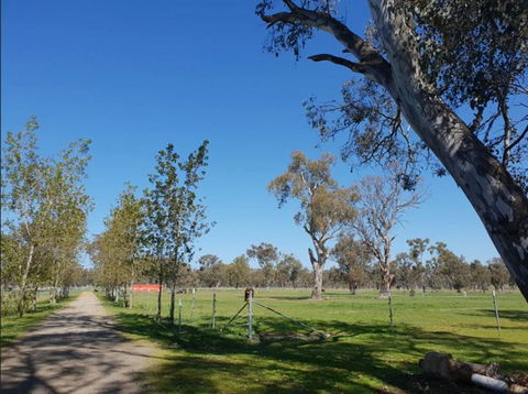 Big Tiny Jindera Park - Accommodation Ballina 3