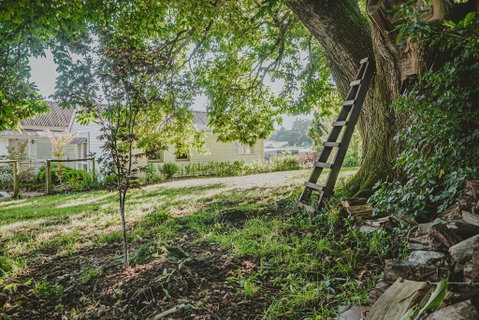 Blacksmiths Cottage - Accommodation Ballina 1