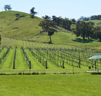 Blue House at Mountainside Wines
