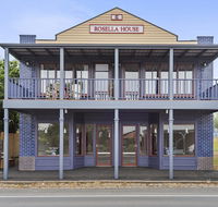 Blue Rosella On Piper - Accommodation Ballina