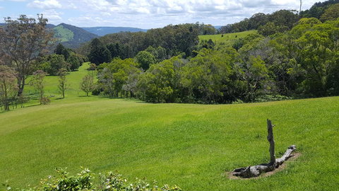 Blue Summit Cottages - Accommodation Ballina 3