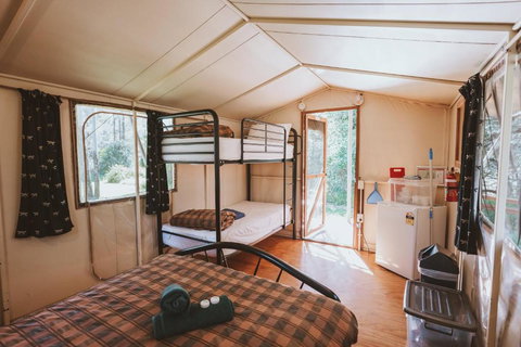 BIG4 Breeze Holiday Parks - Carnarvon Gorge - Accommodation Ballina 1