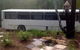 Yamba Hinterland Bush Retreat - Vintage Bus Stay - thumb 3