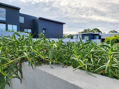 Your Quiet Penthouse With High Ceiling Split Level - Accommodation Ballina 2