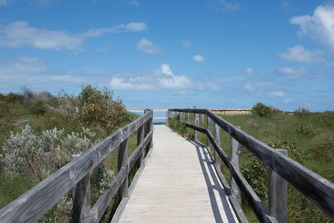 Yanchep & Lancelin - Wildlife, Cave And Sands - Accommodation Ballina 2