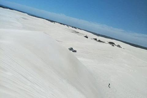 Yanchep & Lancelin - Wildlife, Cave And Sands - Accommodation Ballina 3