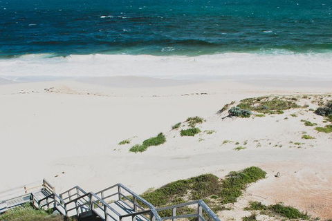 Yanchep & Lancelin - Wildlife, Cave And Sands - Accommodation Ballina 5