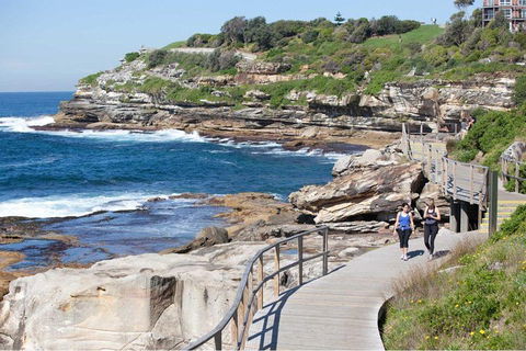 Private Tour: Sydney City Highlights - Accommodation Ballina 2