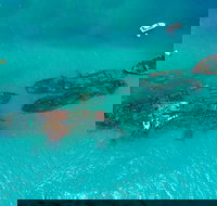 Private Tangalooma Wrecks Tour - Accommodation Ballina