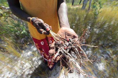 Gay-Wu Woman's 5 Day Yolngu Homeland Tour - Accommodation Ballina 0